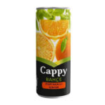 Cappy-Bahce-Meyve-Suyu-Portakal-Aromali-250-ml-x-12-Adet.jpg