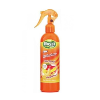 Hayat Oda Kokusu 350 ml - Mango Kavun