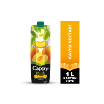 Cappy Kayısı Suyu 1000 ml 12`li
