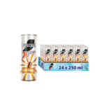 Nescafe Xpress Caramel 250 ml 24’lü